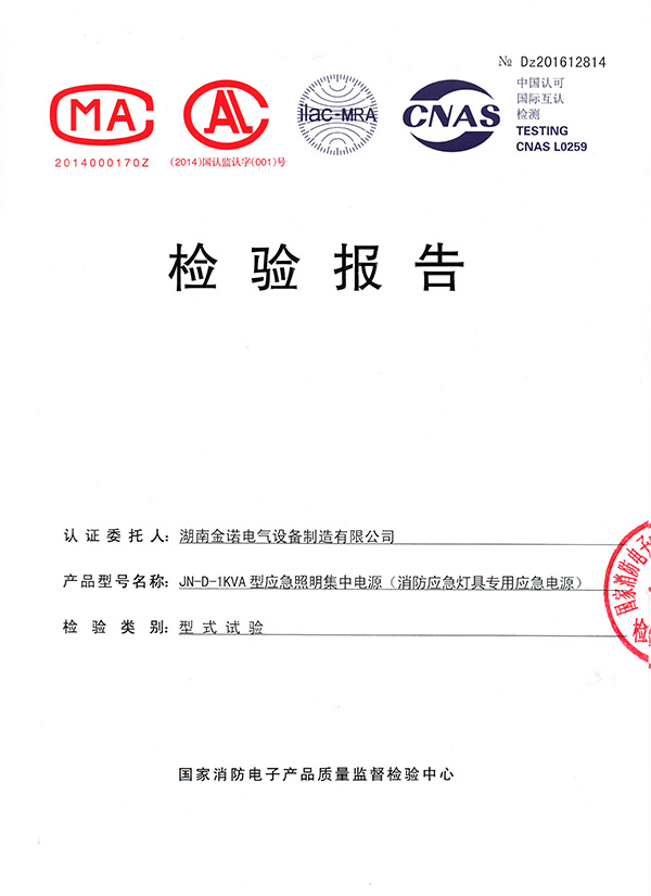 应急照明电源检验报告