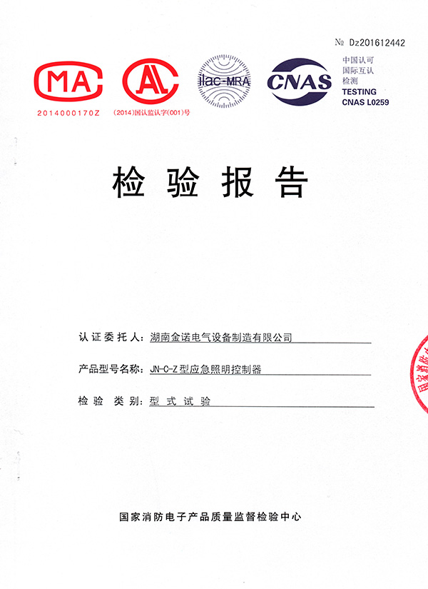 应急照明控制器检验报告